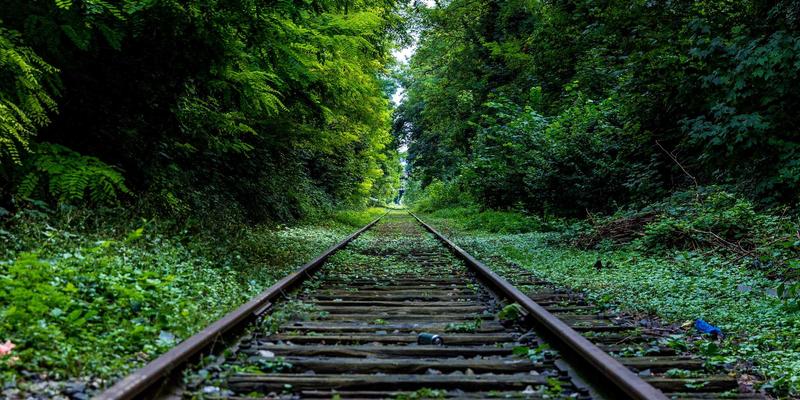 STEM专业留学申请制胜关键：蒙特佳丽教育深度解析背景提升、科研与竞赛的核心策略