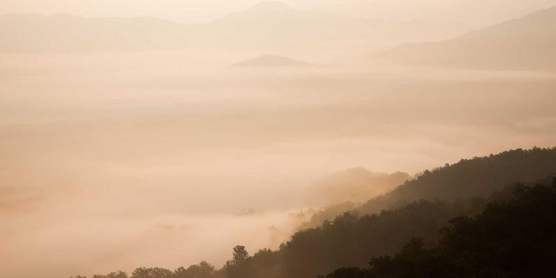 后疫情时代留学政策全解析：美英加澳最新签证与入境要求（2024版）