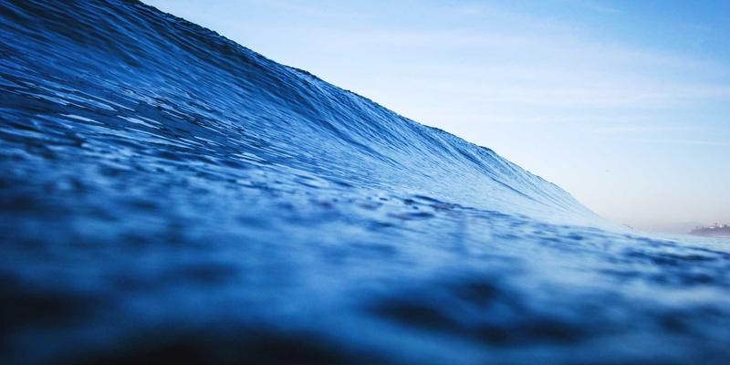 留学成本效益深度解析：蒙特佳丽教育为您对比美、英、澳、加学费、生活费及长期投资回报率