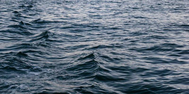 留学申请中的诚信红线:蒙特佳丽教育深度解析学术造假与文书代写的致命风险