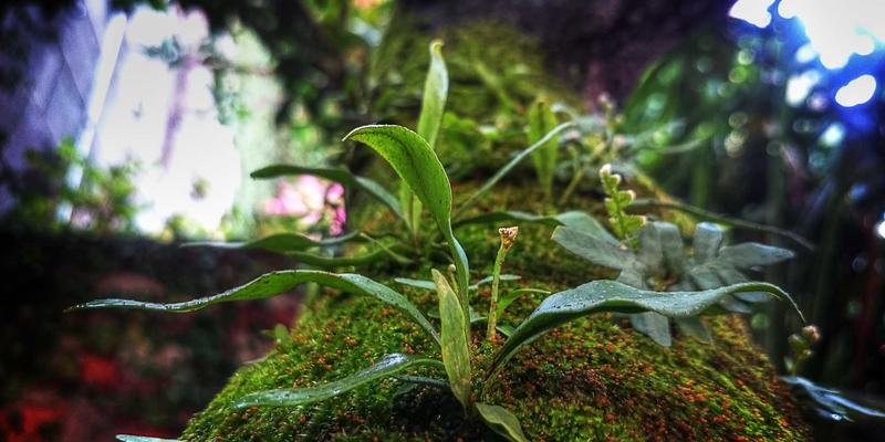 研究生申请制胜关键:蒙特佳丽教育详解套磁信撰写与面试技巧,助你有效联系导师并脱颖而出