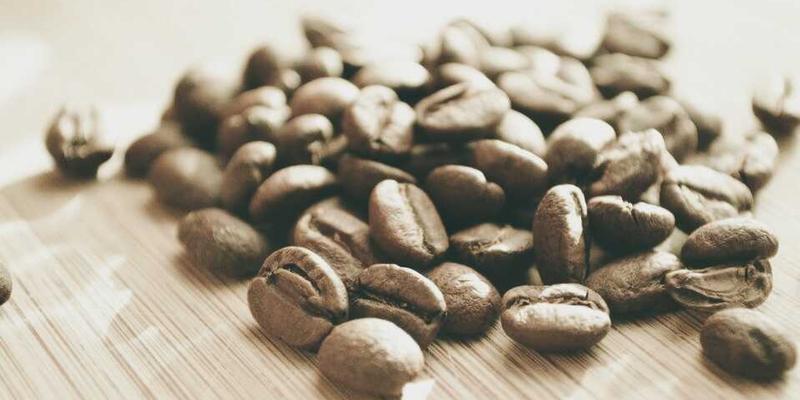 蒙特佳丽教育:从规划到成功,揭秘教育培训与留学咨询的进阶之道